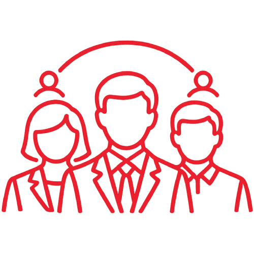 Professional Team