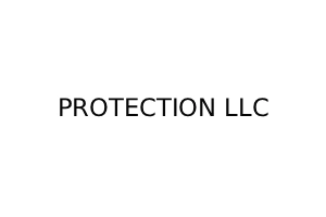 PROTECTION LLC